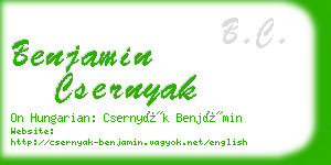 benjamin csernyak business card